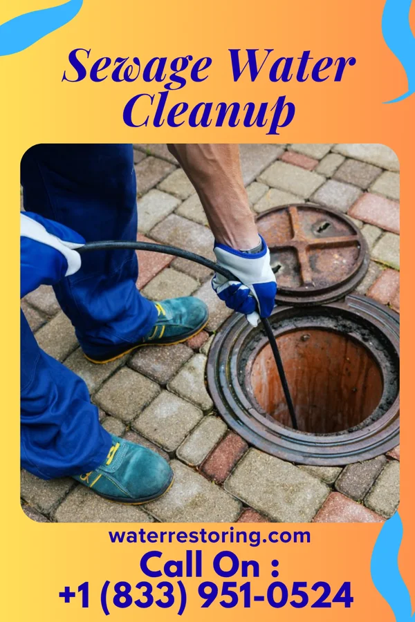 Sewage Water Cleanup in Benedict, KS